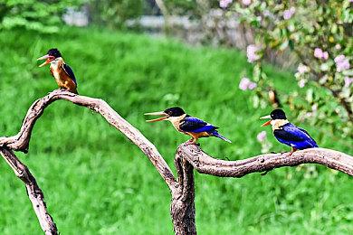 从Labo纸盒到真VR？任天堂官宣进军虚拟现实领域！