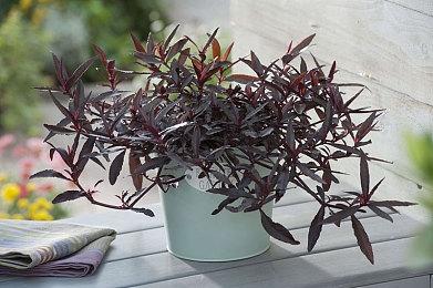 英国年度报告：PC和游戏主机销量增长2.6%