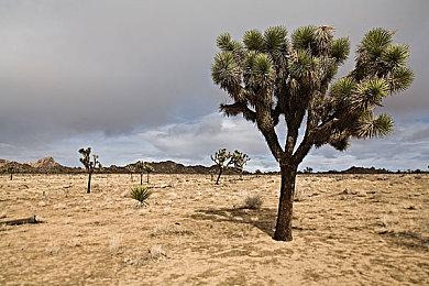 《SONOKUNI》即将在3月陆续登录PC、Switch平台