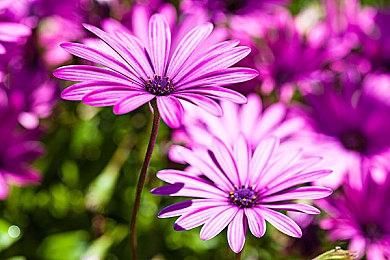 真人影像ADV《428》导演新作众筹4倍成功 即将公布新情报